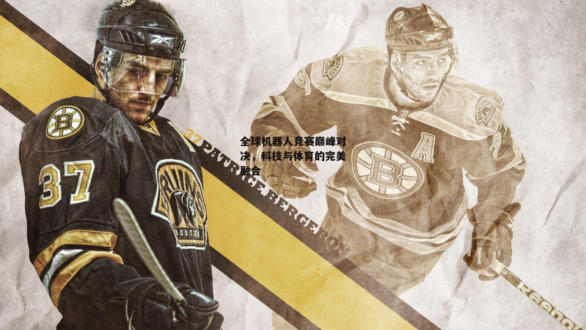 全球机器人竞赛巅峰对决，科技与体育的完美融合【b体育官网】