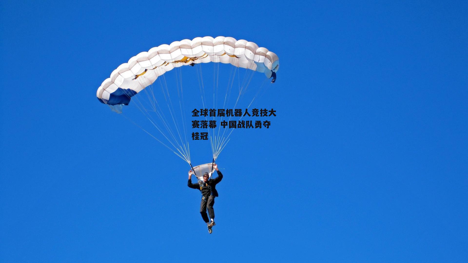 全球首届机器人竞技大赛落幕 中国战队勇夺桂冠